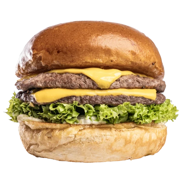 Cheese burger 600x600